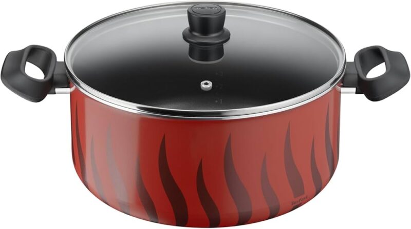 TEFAL marmite tempoflame 22Cm